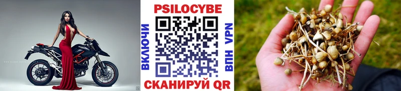 Псилоцибиновые грибы MAGIC MUSHROOMS  где найти наркотики  Петрозаводск 